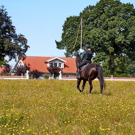 Mollegade 1 Holiday House Nordborg Buitenkant foto