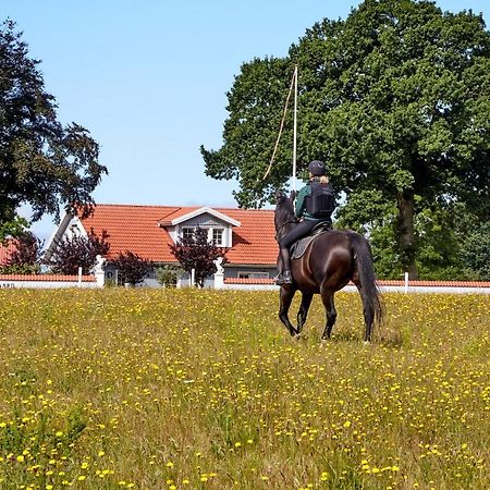 Mollegade 1 Holiday House Villa Nordborg Buitenkant foto