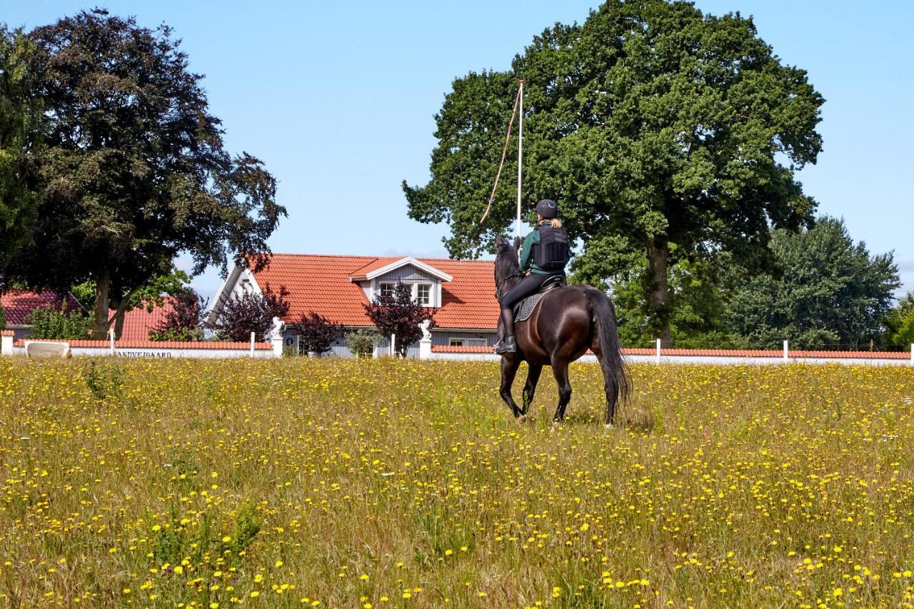 Mollegade 1 Holiday House Nordborg Buitenkant foto